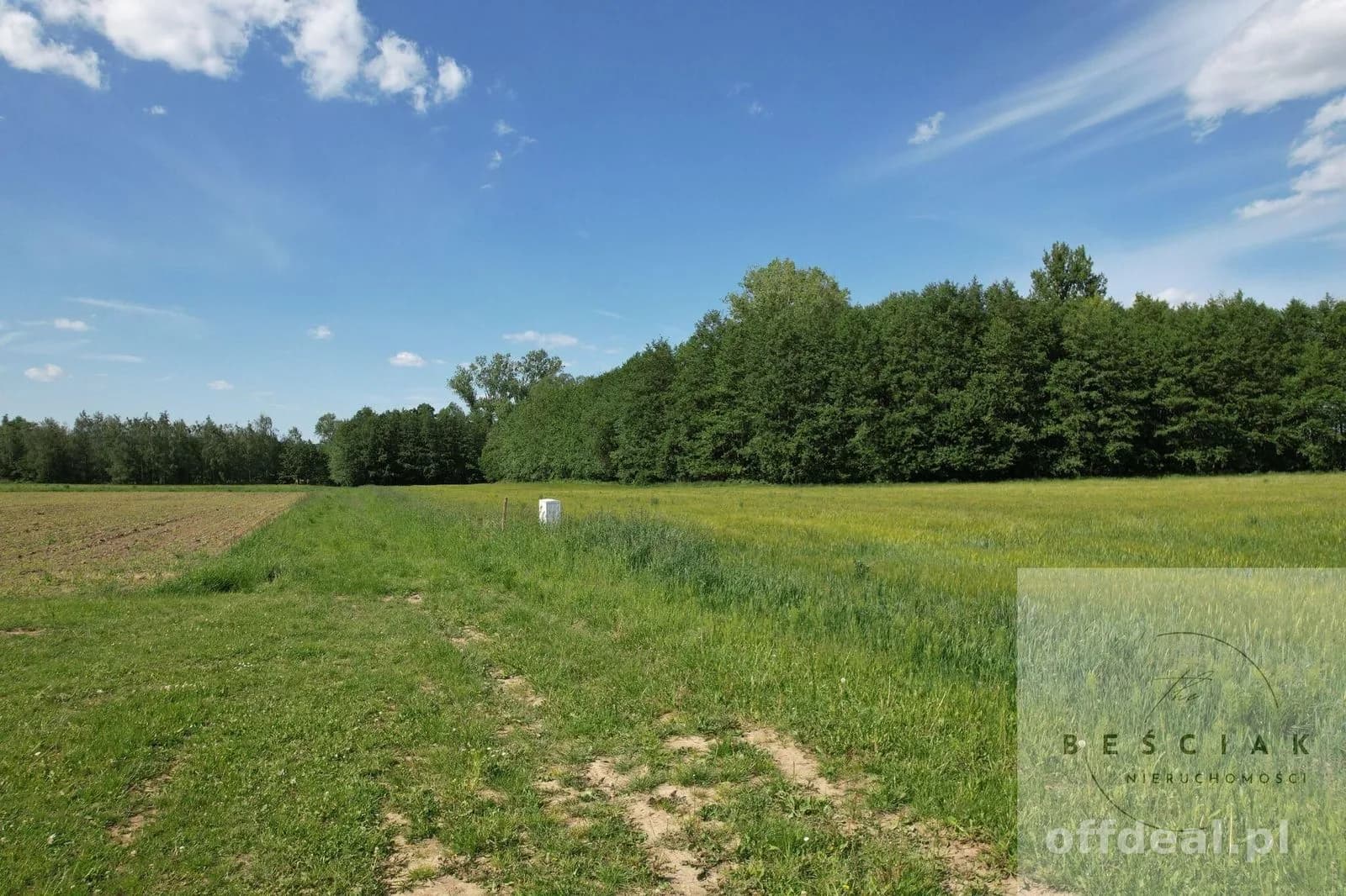 plot for sale in Zdonia | 4,470 m²