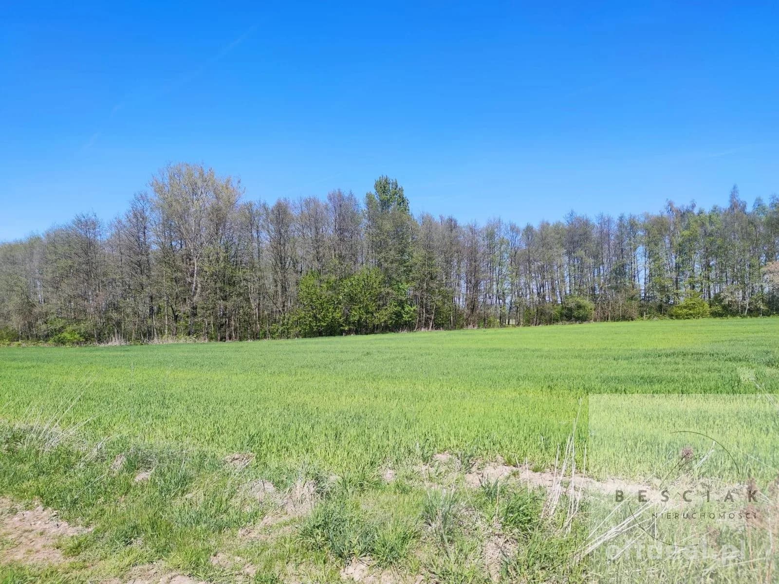 plot for sale in Zdonia | 4,470 m²