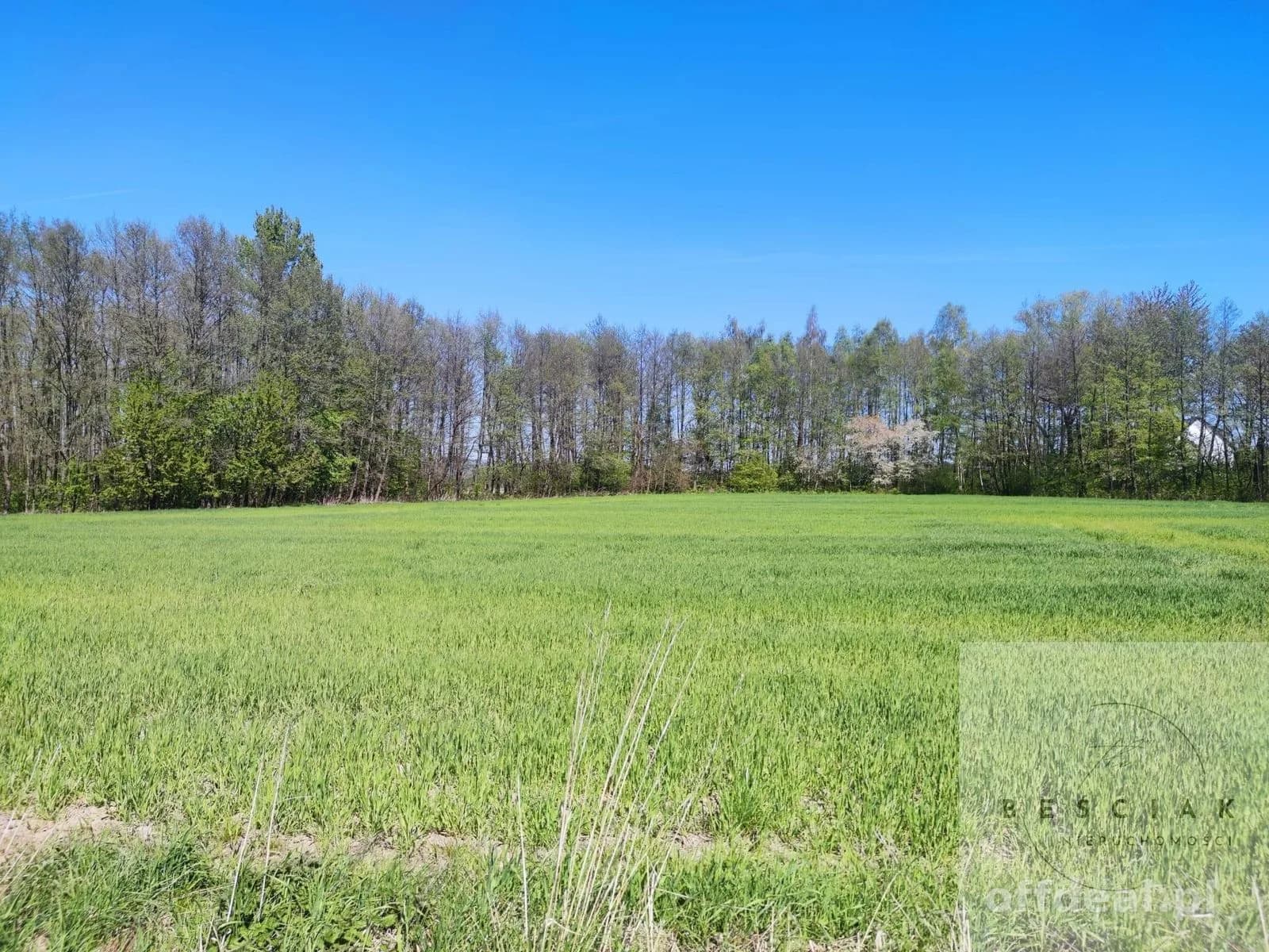 plot for sale in Zdonia | 4,470 m²