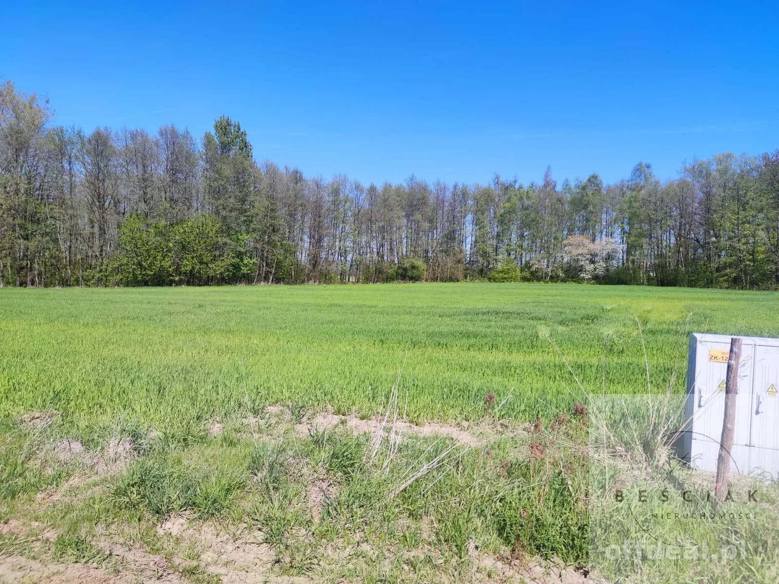 plot for sale in Zdonia | 4,470 m²