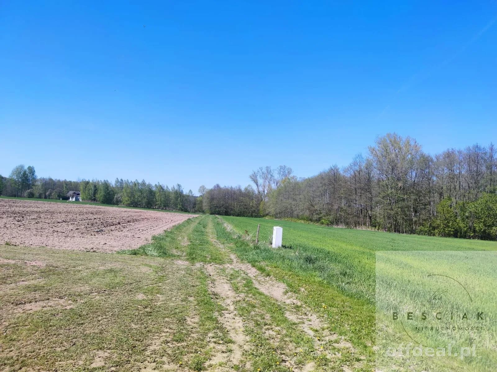 plot for sale in Zdonia | 4,470 m²