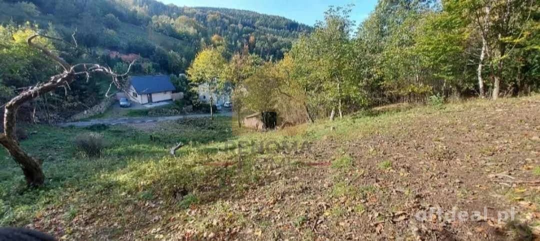 maison à vendre à Pieszyce | 8 pièces | 320,01 m²