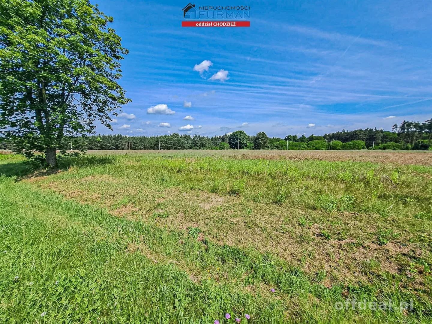 terrain à vendre à Nadolnik | 25 075 m²
