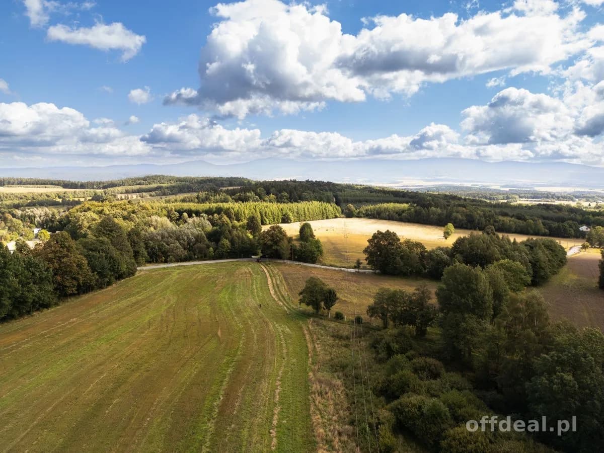 Działka budowlana 5000 m² I Wyszki I Kot. Kłodzka