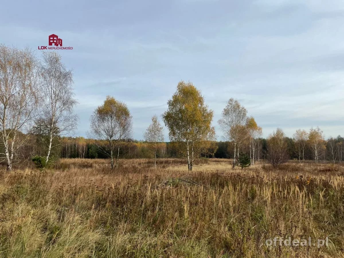 plot for sale in Zielona Góra, Nowy Kisielin | 35,300 m²