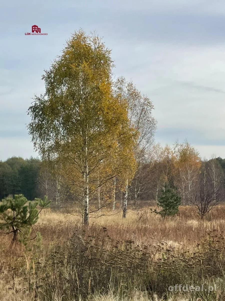 plot for sale in Zielona Góra, Nowy Kisielin | 35,300 m²