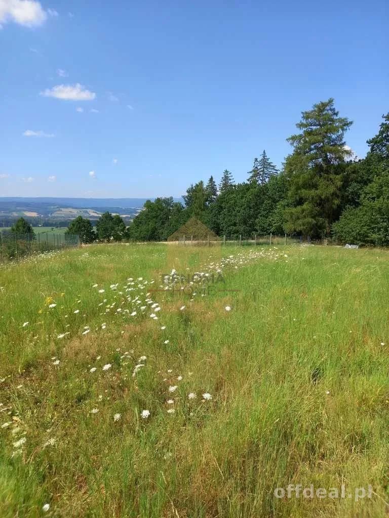 terrain à vendre à Nowa Ruda | 1 412 m²