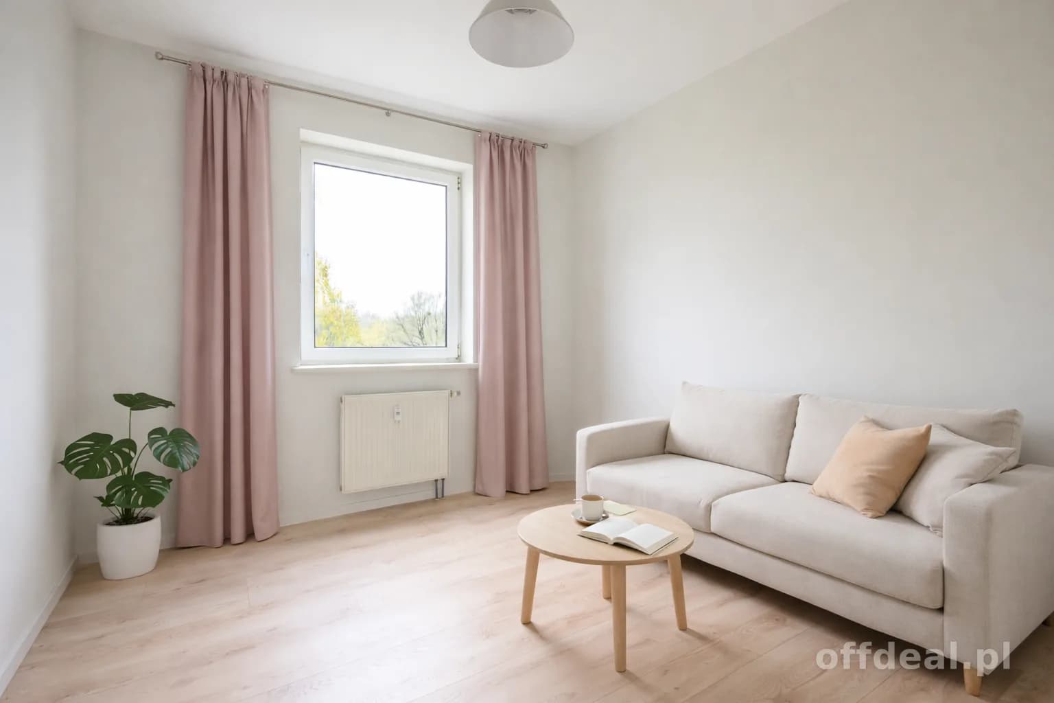 Minimalist living room with natural accents.png