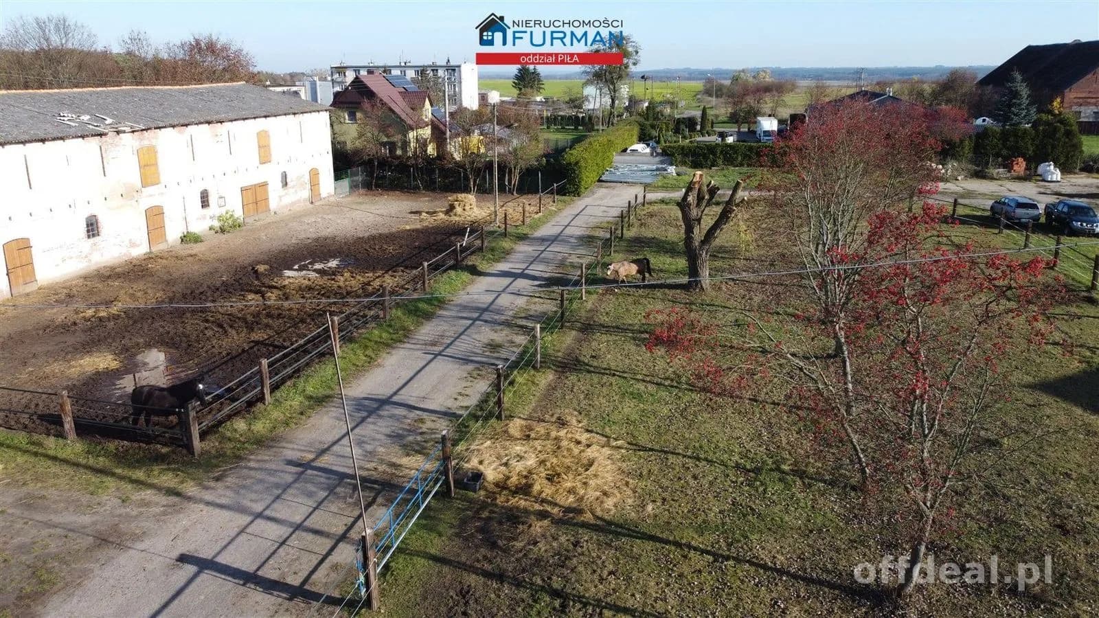 terrain à vendre à Biała | 9 088 m²