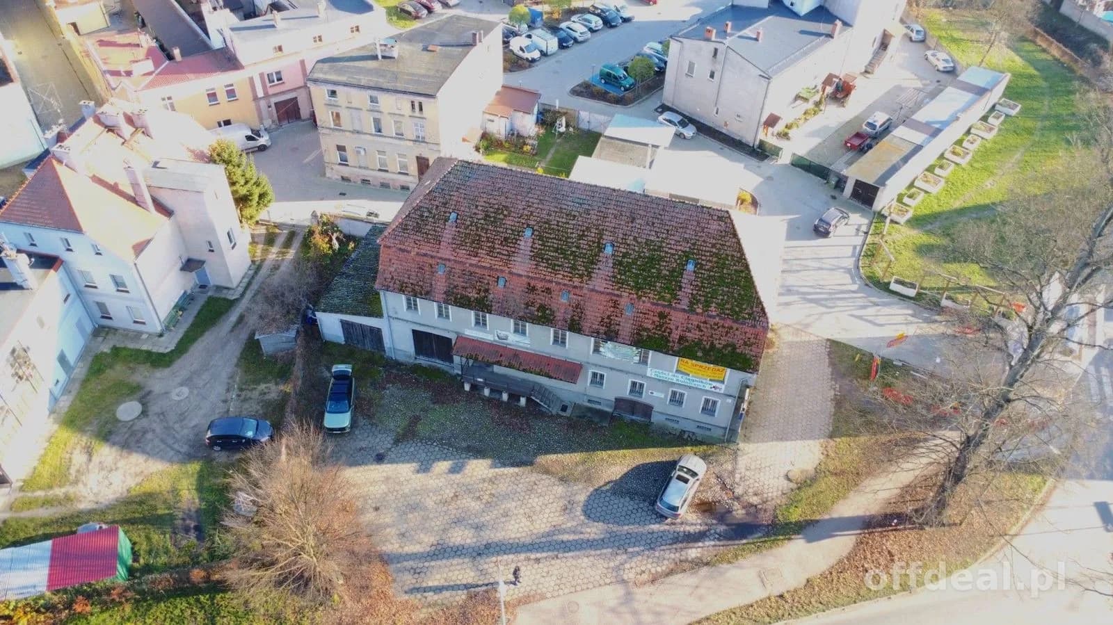Photo 4: Bien commercial, 900 m², Milicz