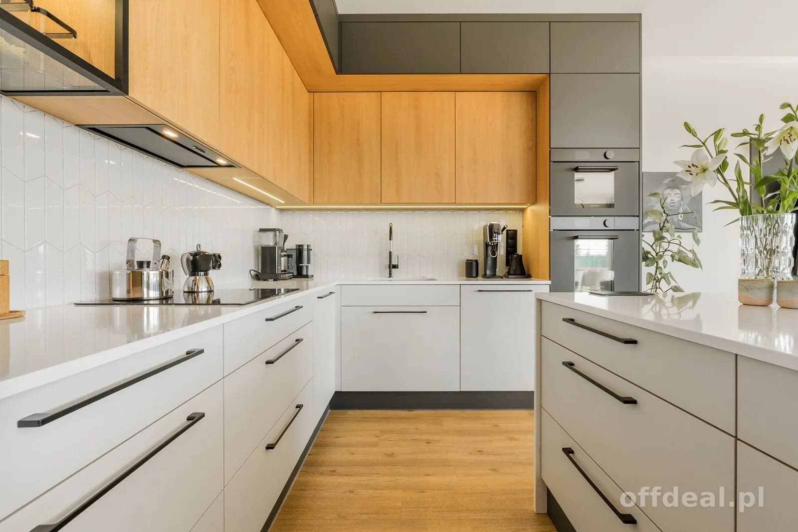 Nowoczesny dom wolnostojący | Villa Hampton