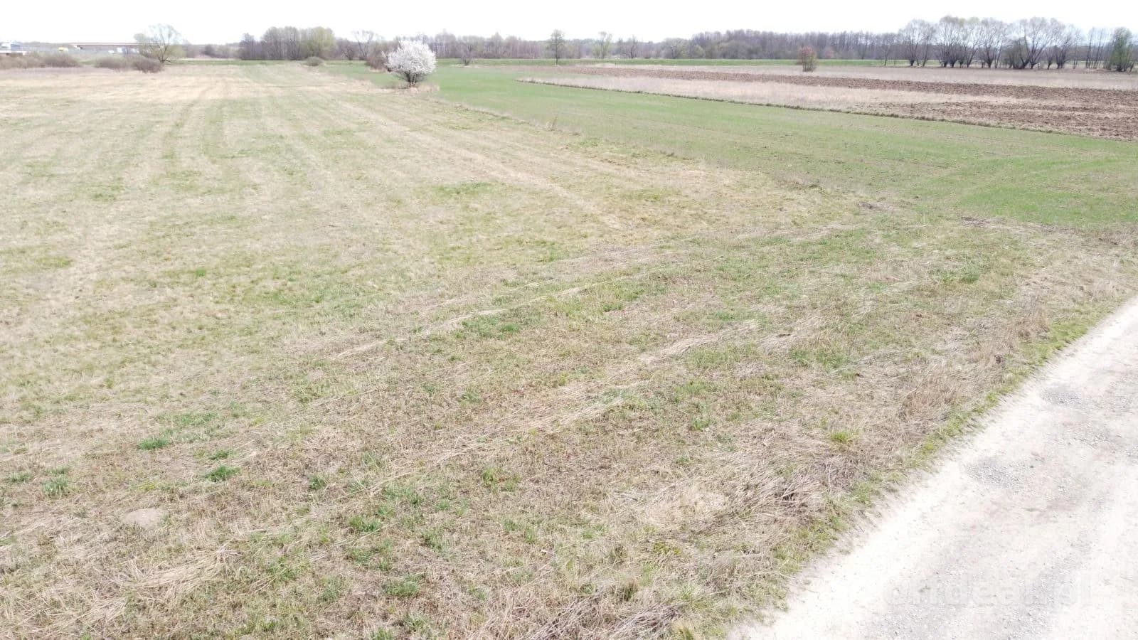 55ar RZ działka w Krzeczowie gmina Rzezawa