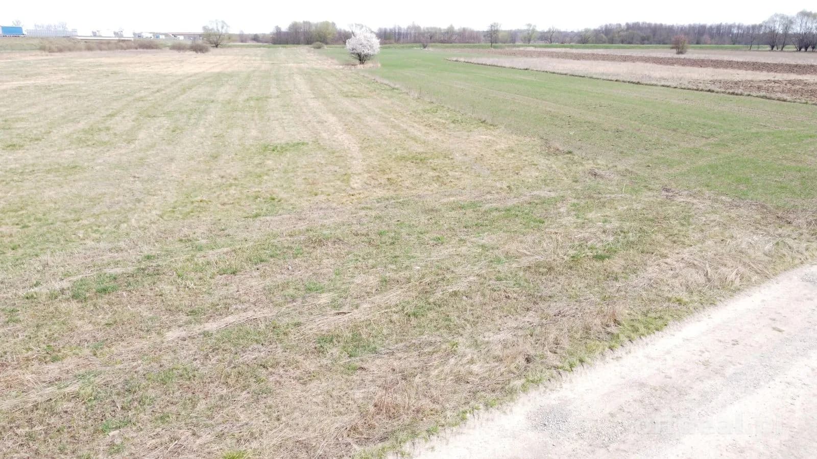 55ar RZ działka w Krzeczowie gmina Rzezawa