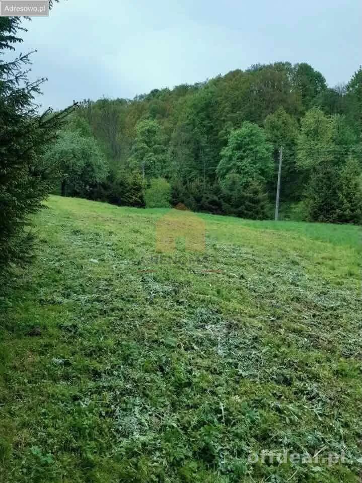 terrain à vendre à Wilcza | 2 400 m²