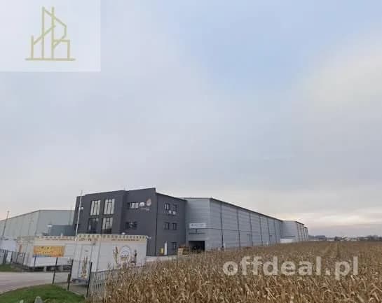 Lokal na wynajem, Macierzysz