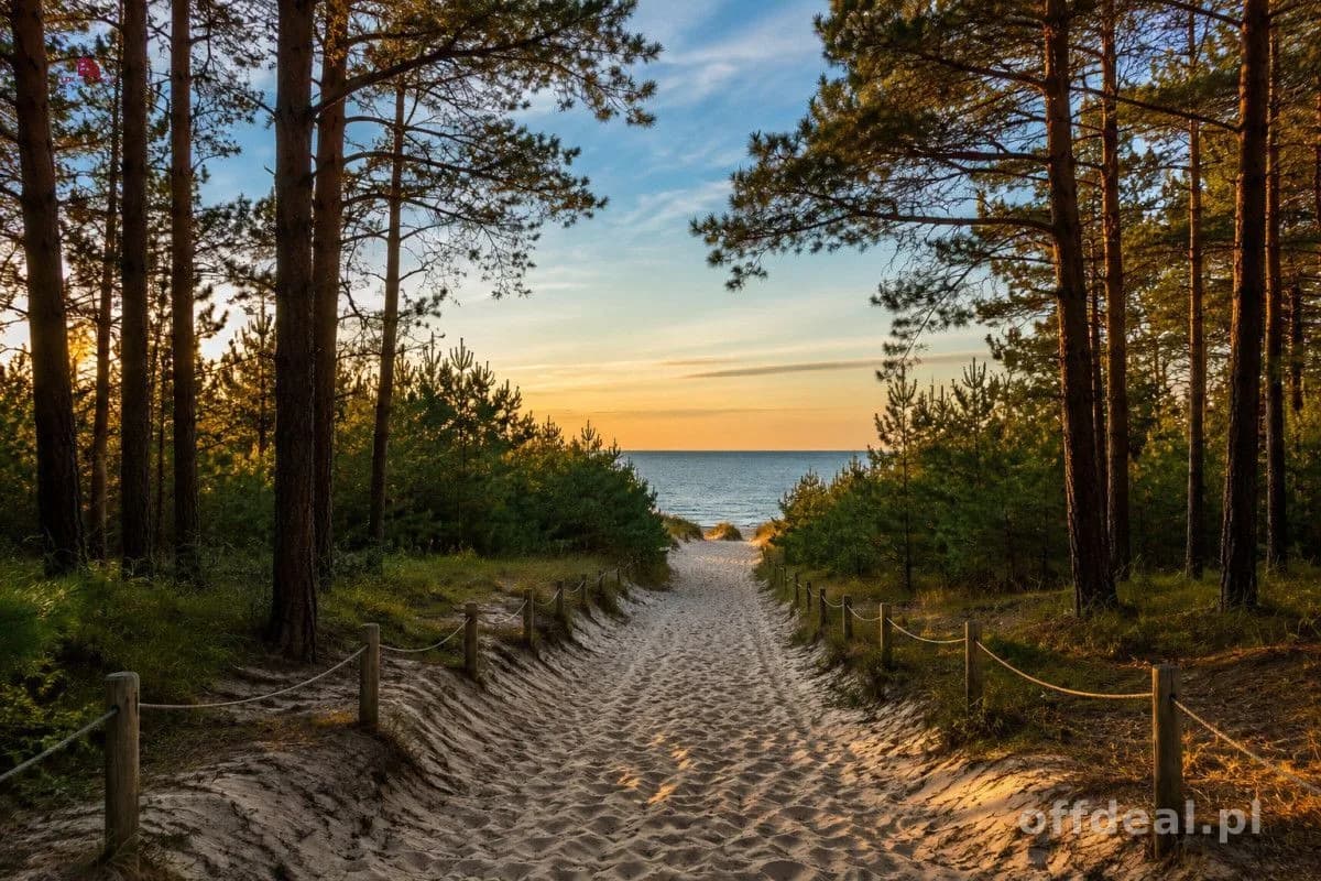 Apartament Inwestycyjny Saltic Łeba | condohotel |