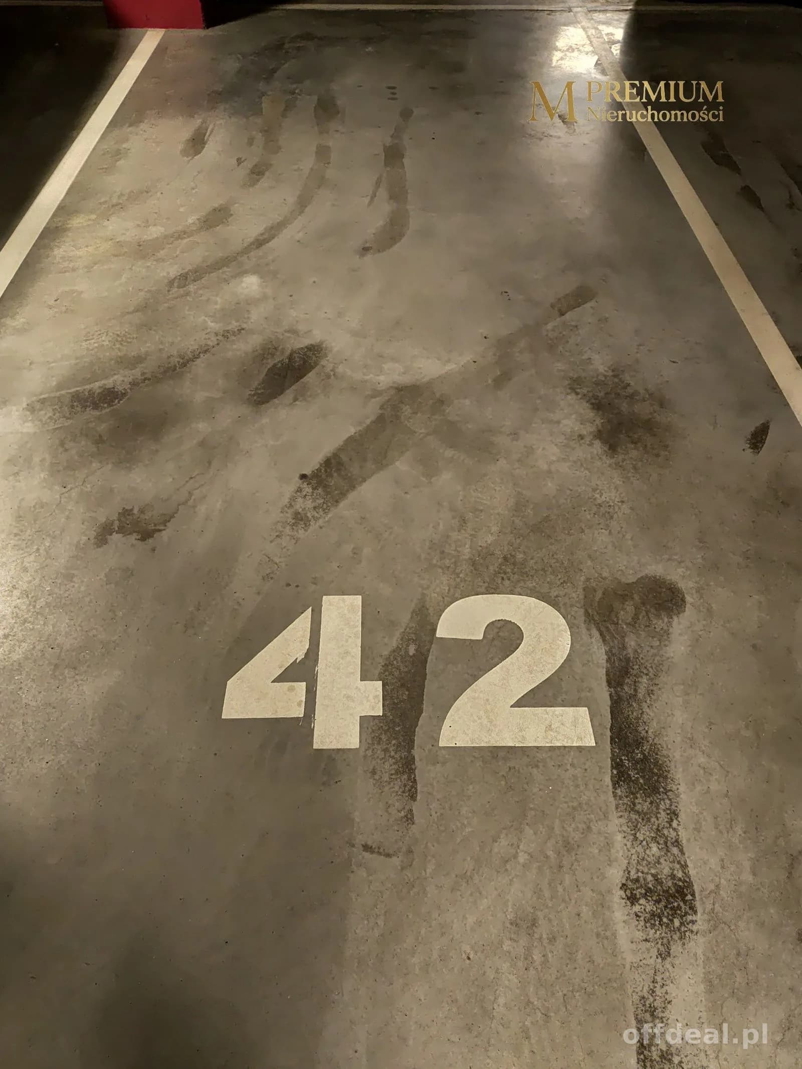 7a.jpg
