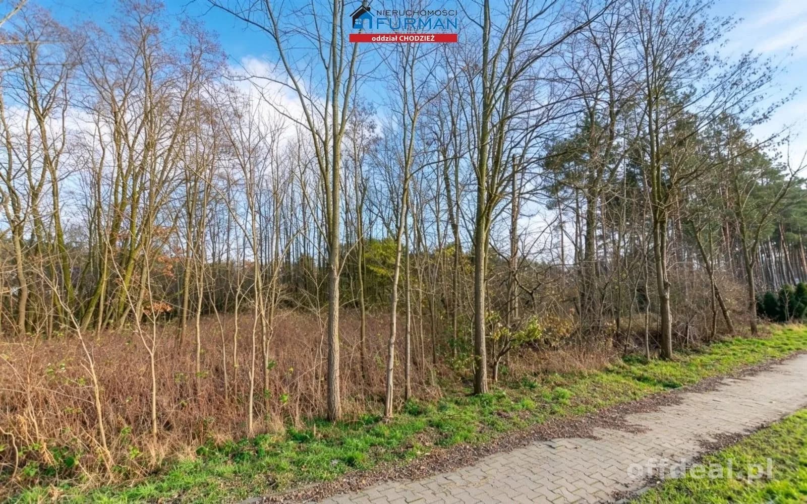 terrain à vendre à Klotyldzin | 879 m²