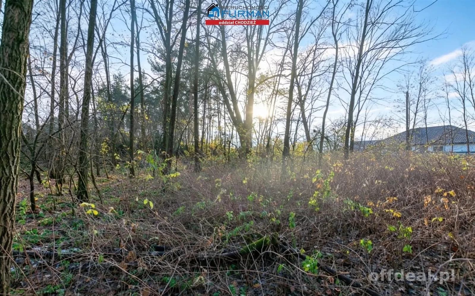 terrain à vendre à Klotyldzin | 879 m²