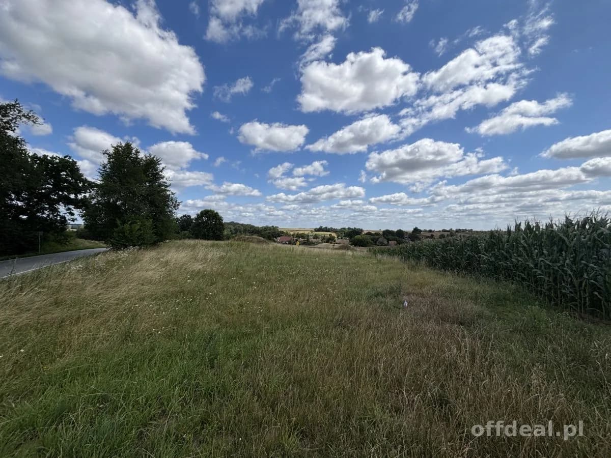 41 arów - działka budowlana - Węgrów - Trzebnica