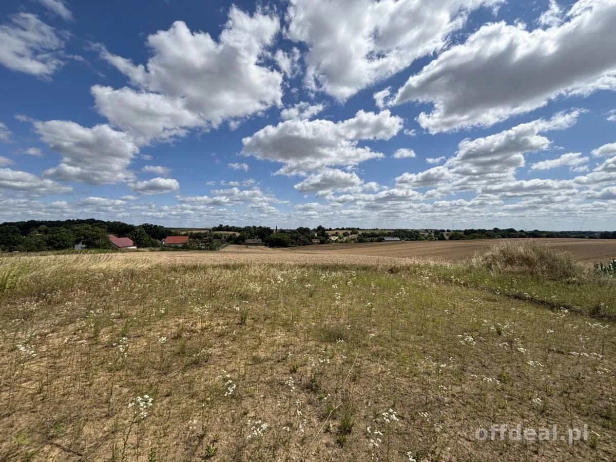 41 arów - działka budowlana - Węgrów - Trzebnica
