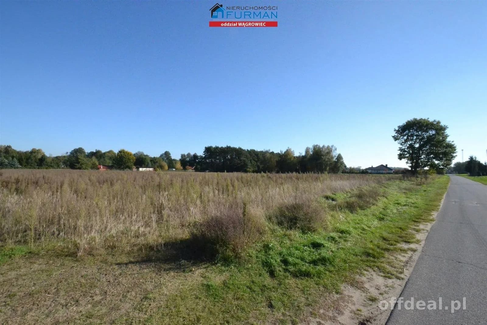 terrain à vendre à Wiatrowo | 4 981 m²