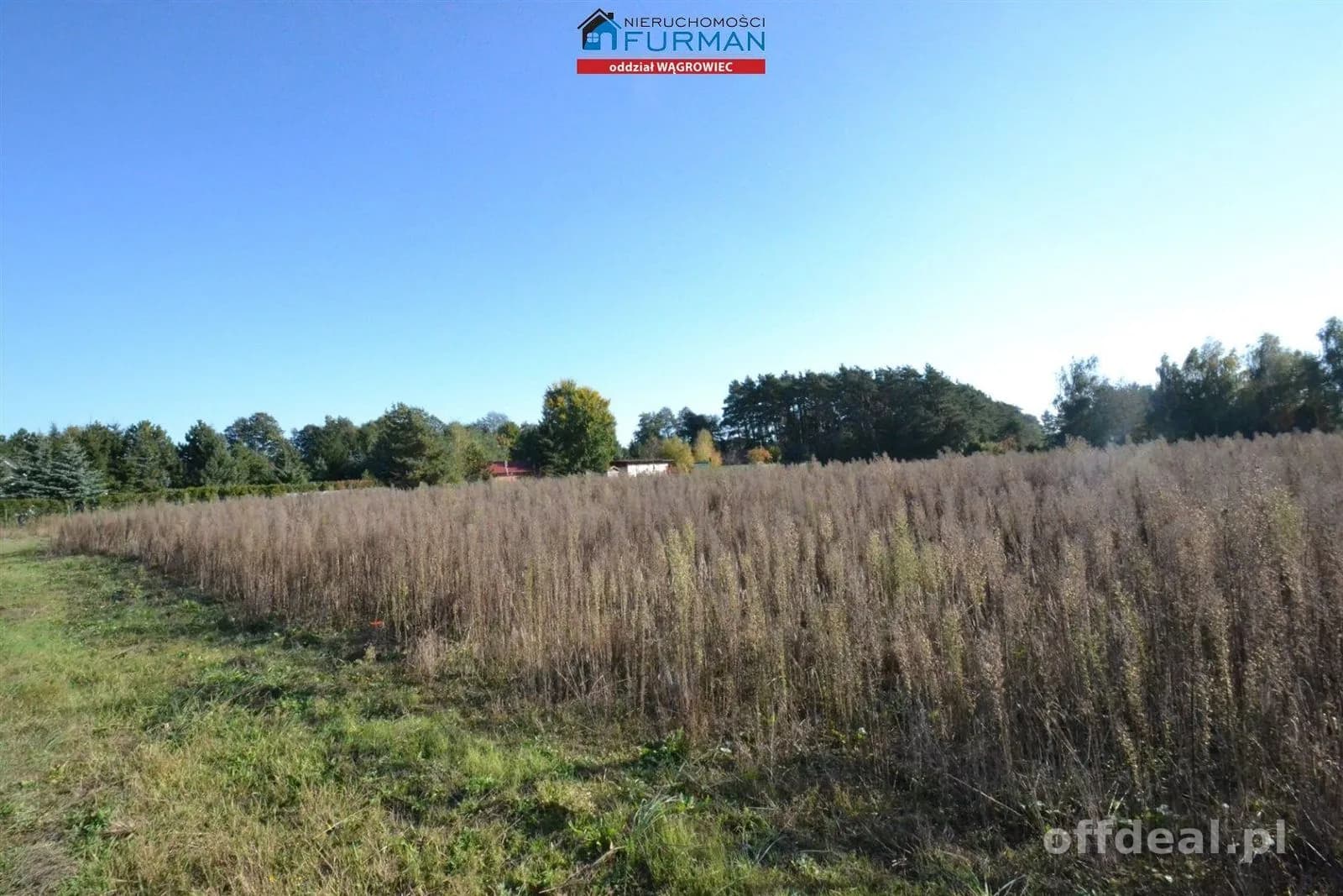 terrain à vendre à Wiatrowo | 4 981 m²