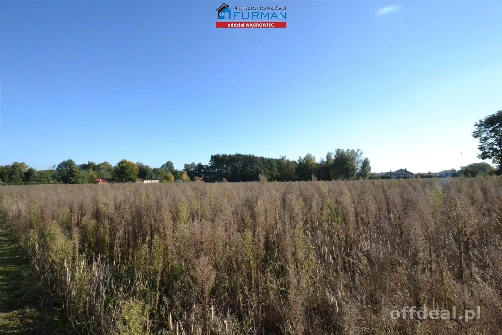 terrain à vendre à Wiatrowo | 4 981 m²