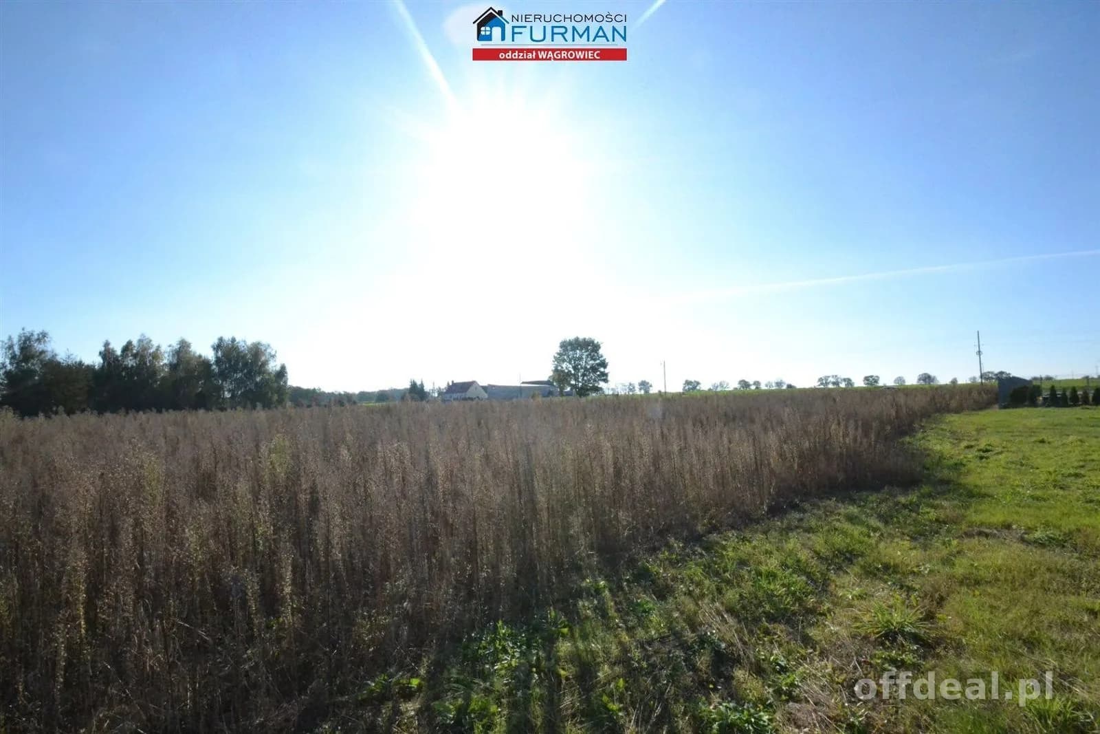 terrain à vendre à Wiatrowo | 4 981 m²
