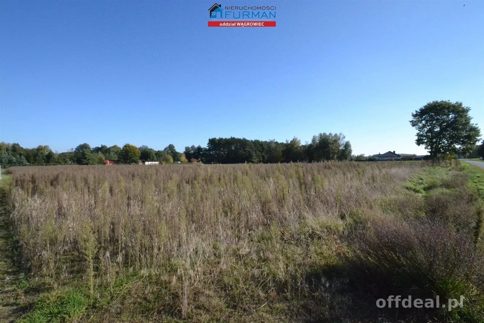 terrain à vendre à Wiatrowo | 4 981 m²