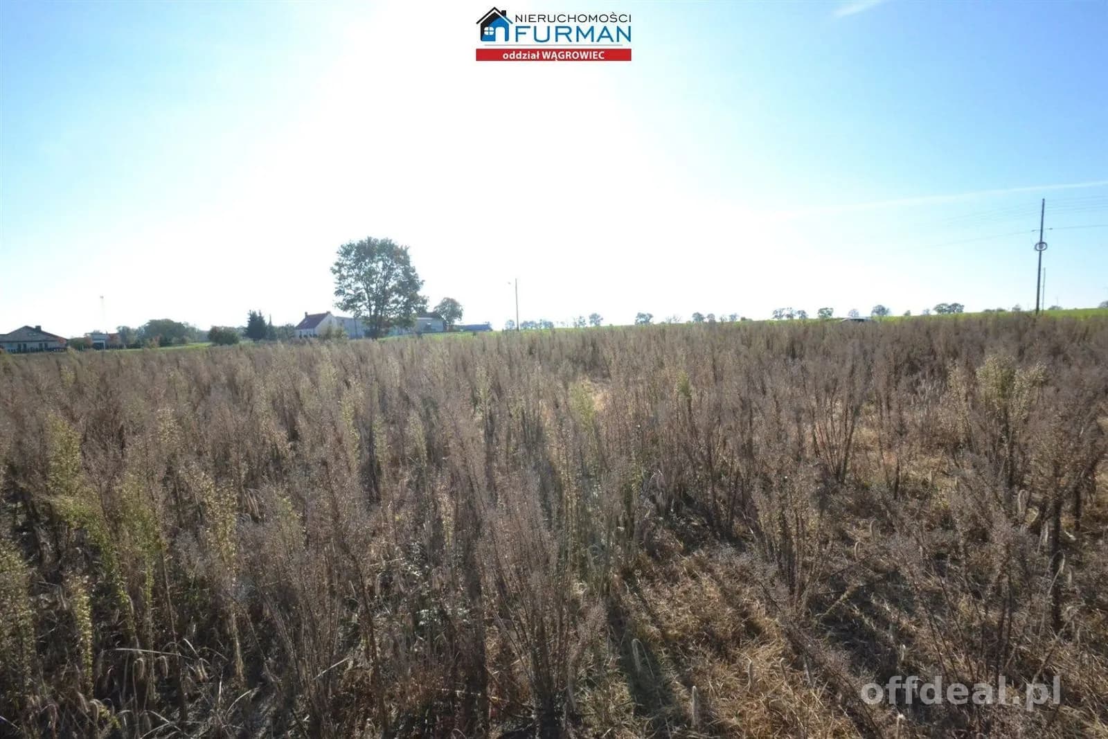 terrain à vendre à Wiatrowo | 4 981 m²