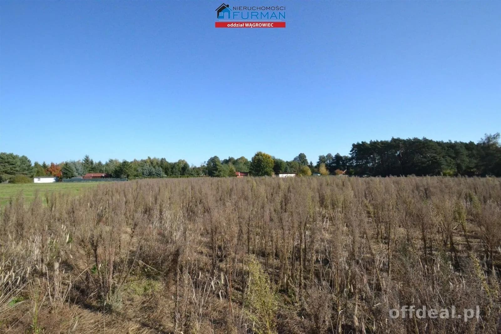 terrain à vendre à Wiatrowo | 4 981 m²