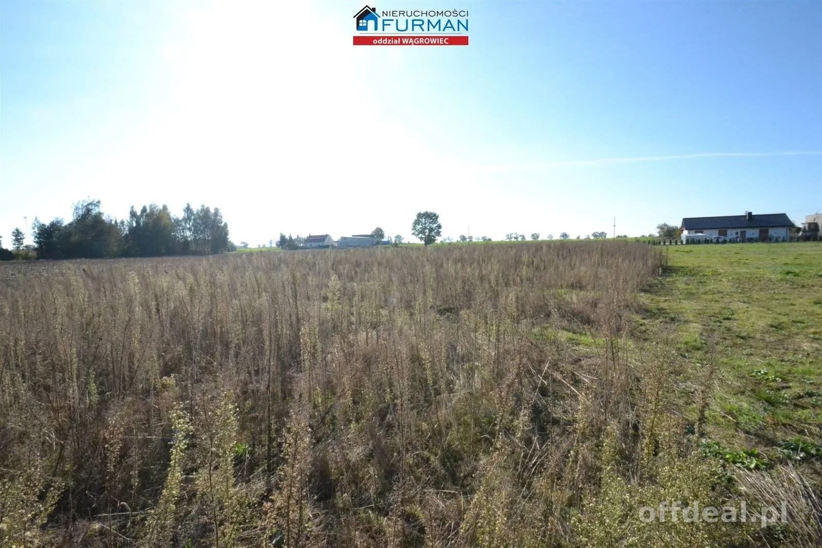 terrain à vendre à Wiatrowo | 4 981 m²