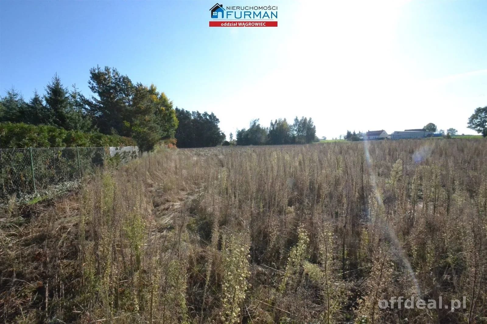 terrain à vendre à Wiatrowo | 4 981 m²