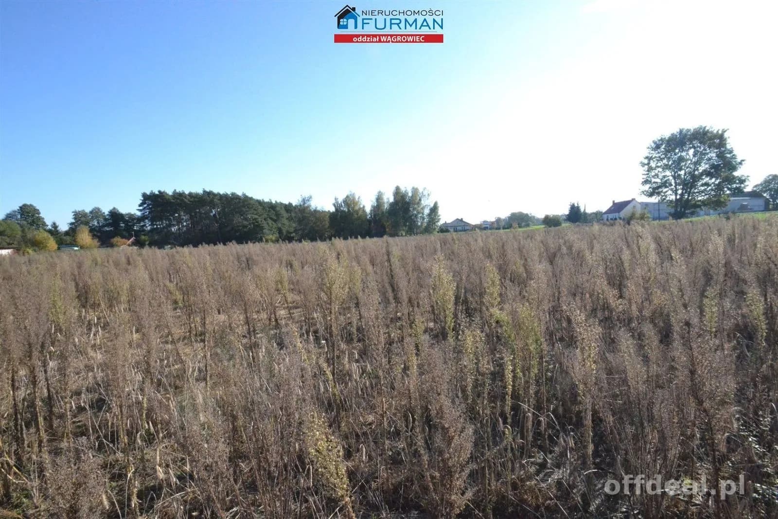 terrain à vendre à Wiatrowo | 4 981 m²