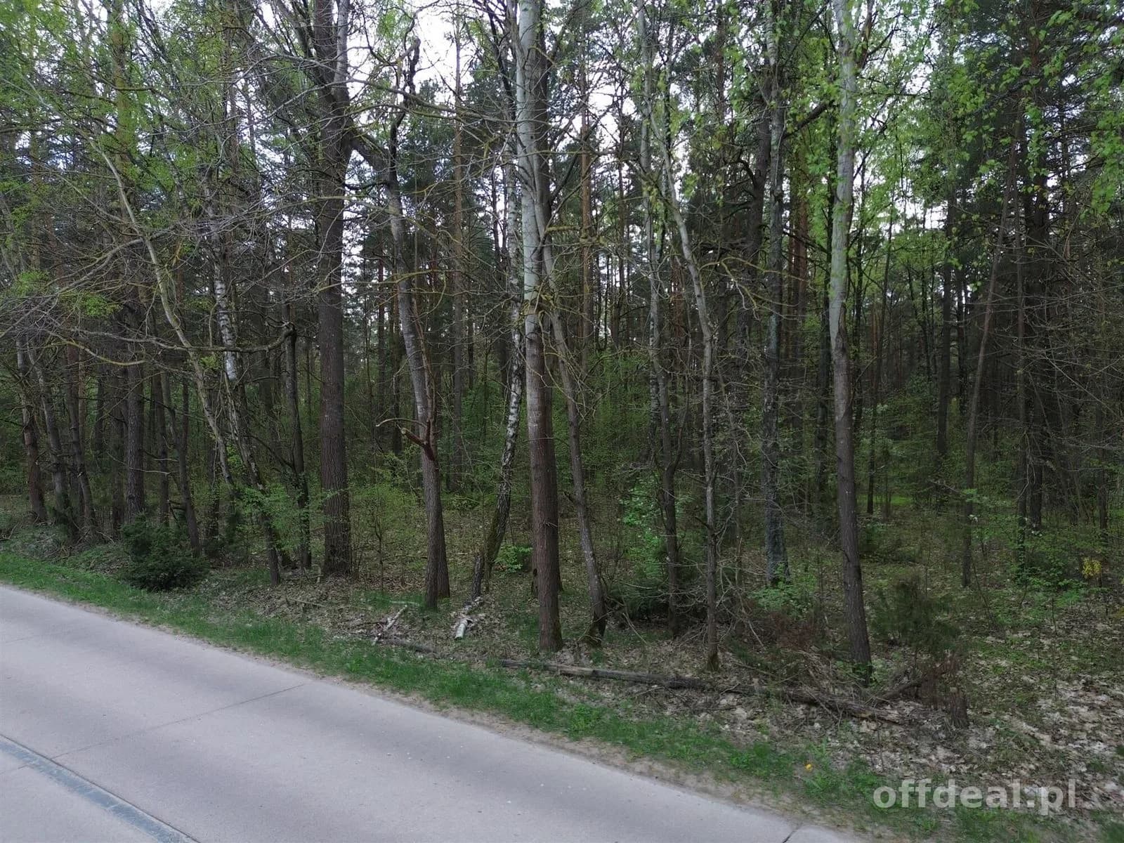 plot for sale in Choroszcz, Barszczewo | 5,896 m²