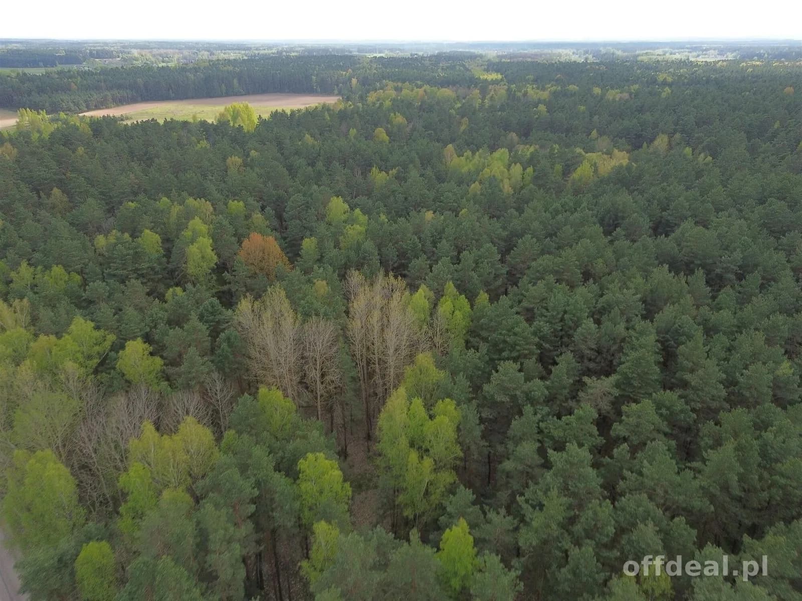 plot for sale in Choroszcz, Barszczewo | 5,896 m²