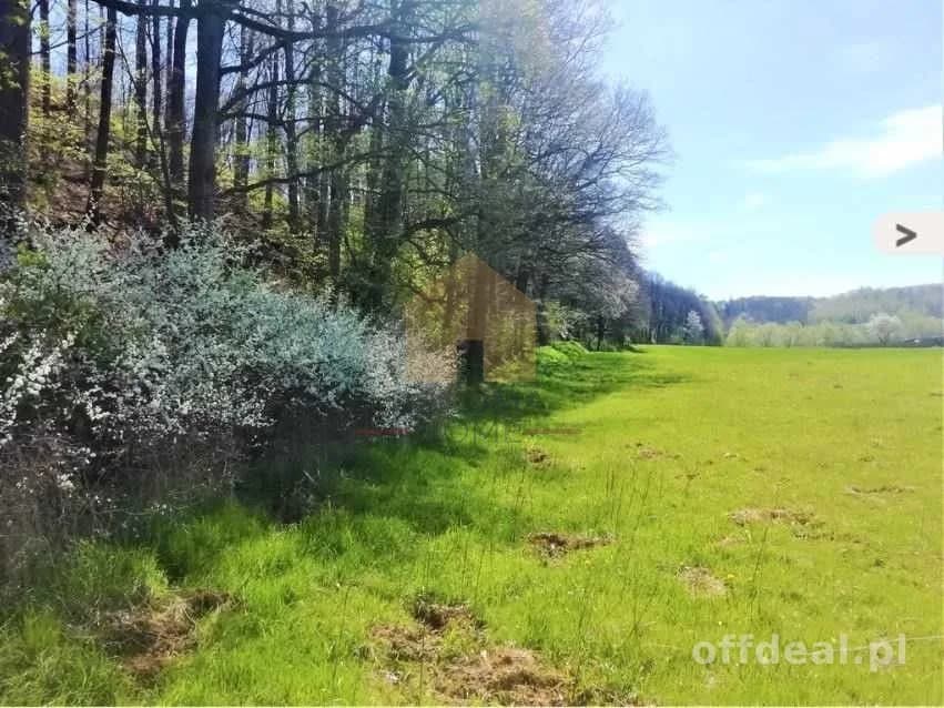 Uzbrojone działki budowlane pod lasem, Chwaliszów