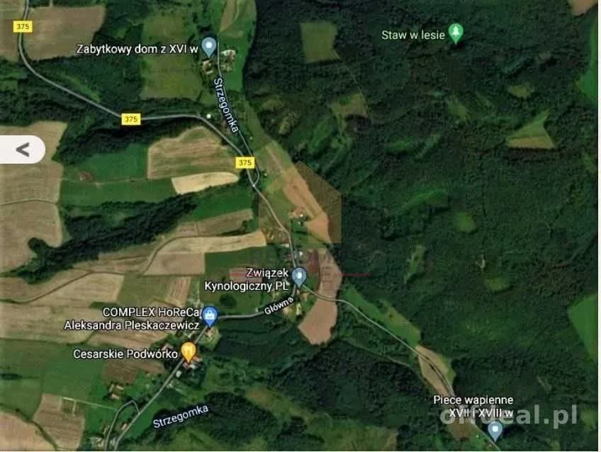Uzbrojone działki budowlane pod lasem, Chwaliszów