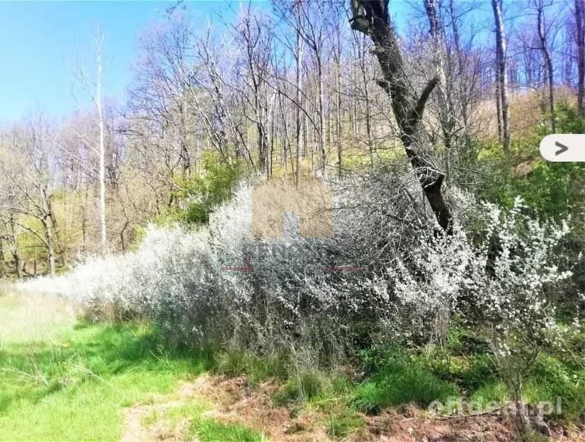 Uzbrojone działki budowlane pod lasem, Chwaliszów