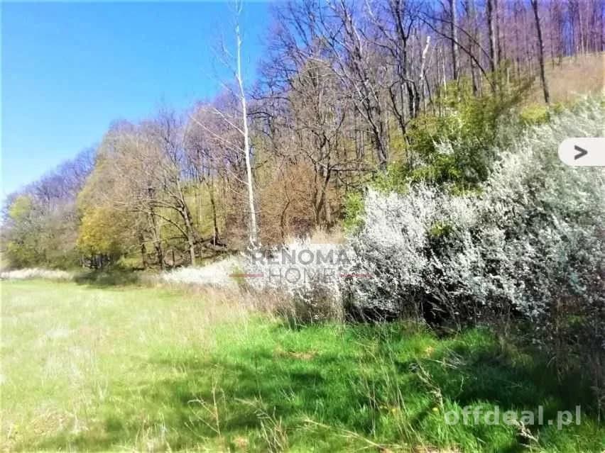 Uzbrojone działki budowlane pod lasem, Chwaliszów