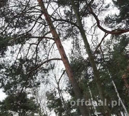 Urokliwa działka -Józefów- Michalin
