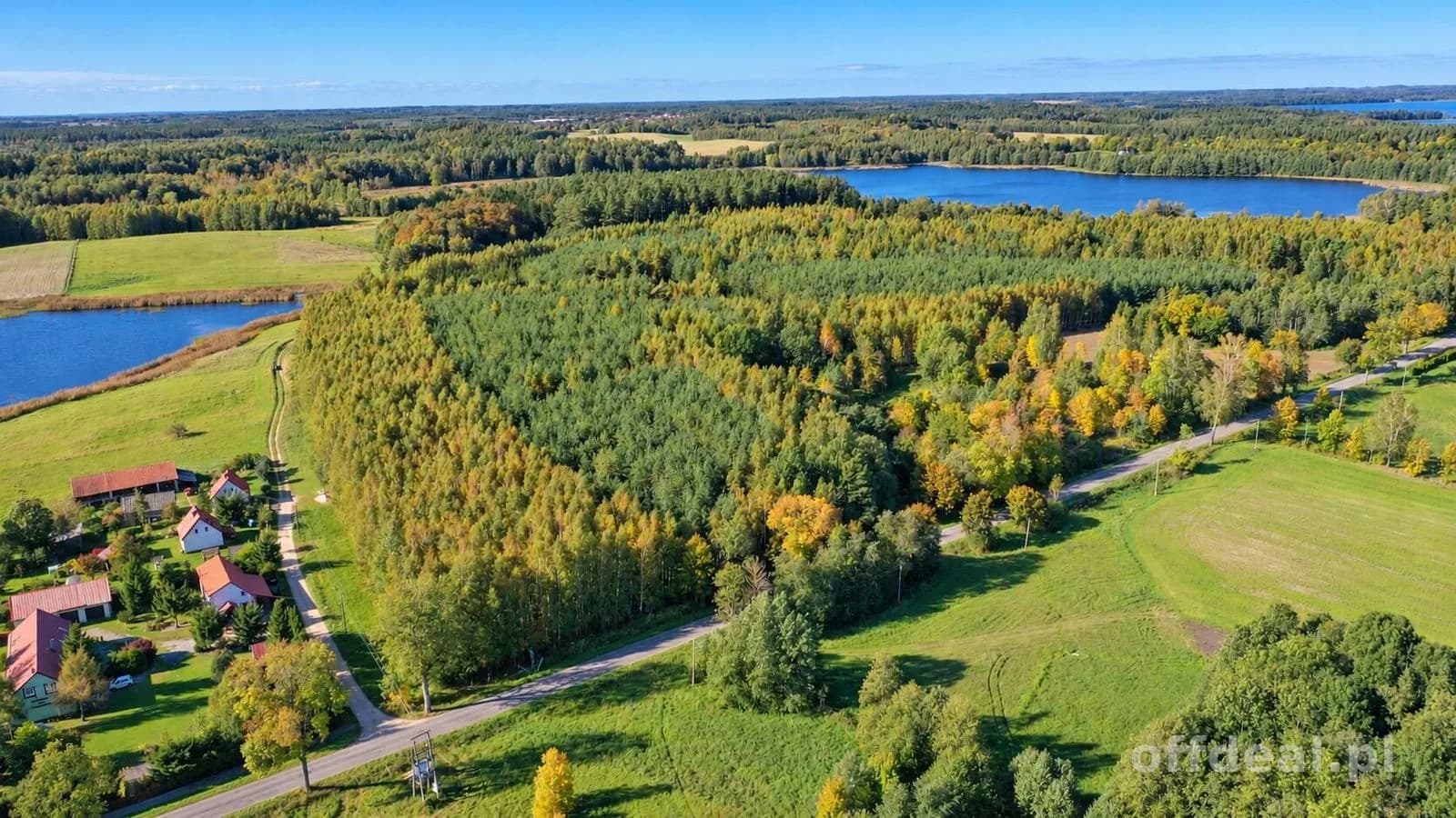 Photo 4: Plot, 29547 m², Żywki