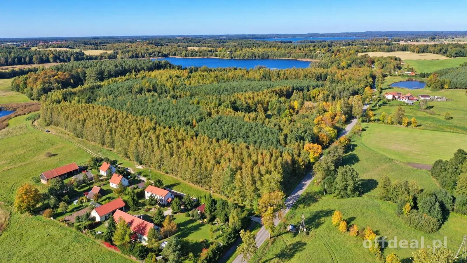 Photo 3: Plot, 29547 m², Żywki