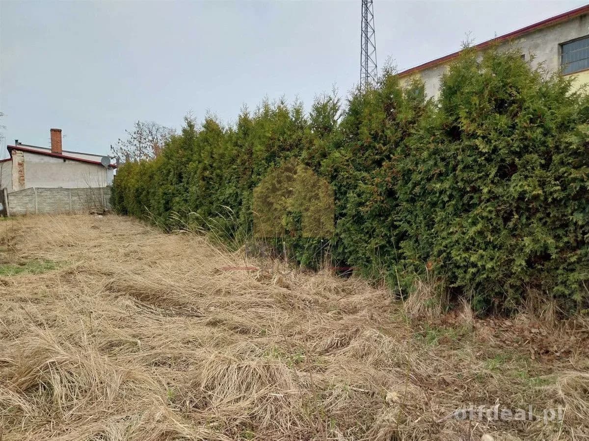 house for sale in Chojnów | 1,979 m²
