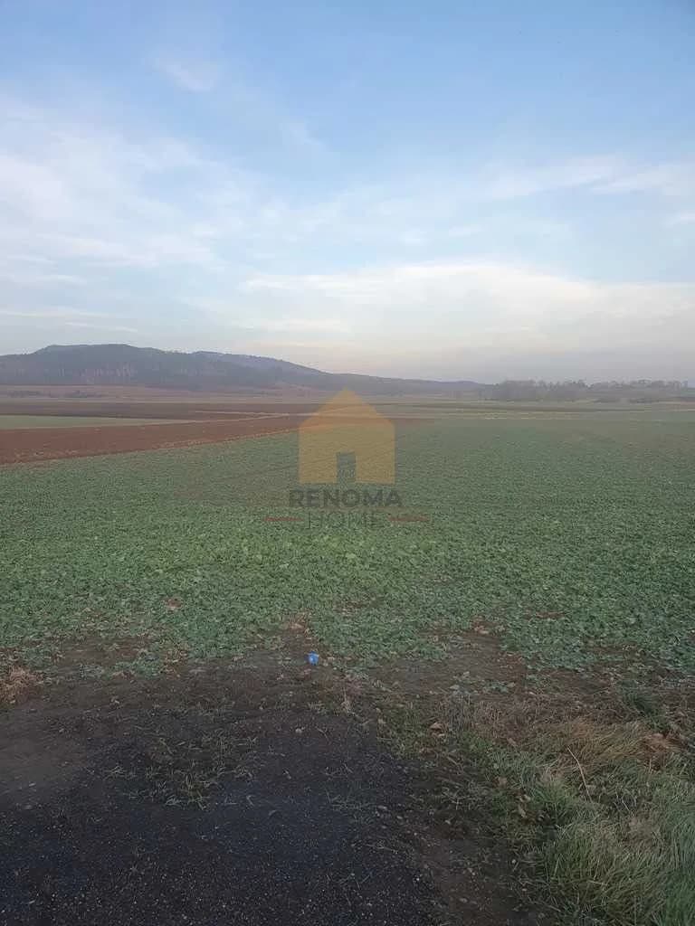 terrain à vendre à Łagiewniki | 25 500 m²