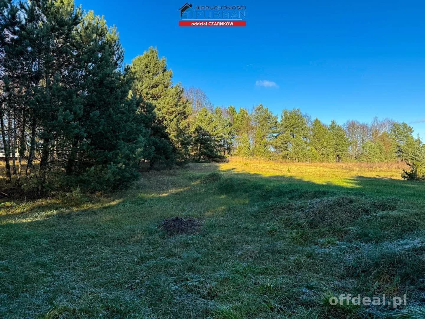 Działka na sprzedaż, Rychlik