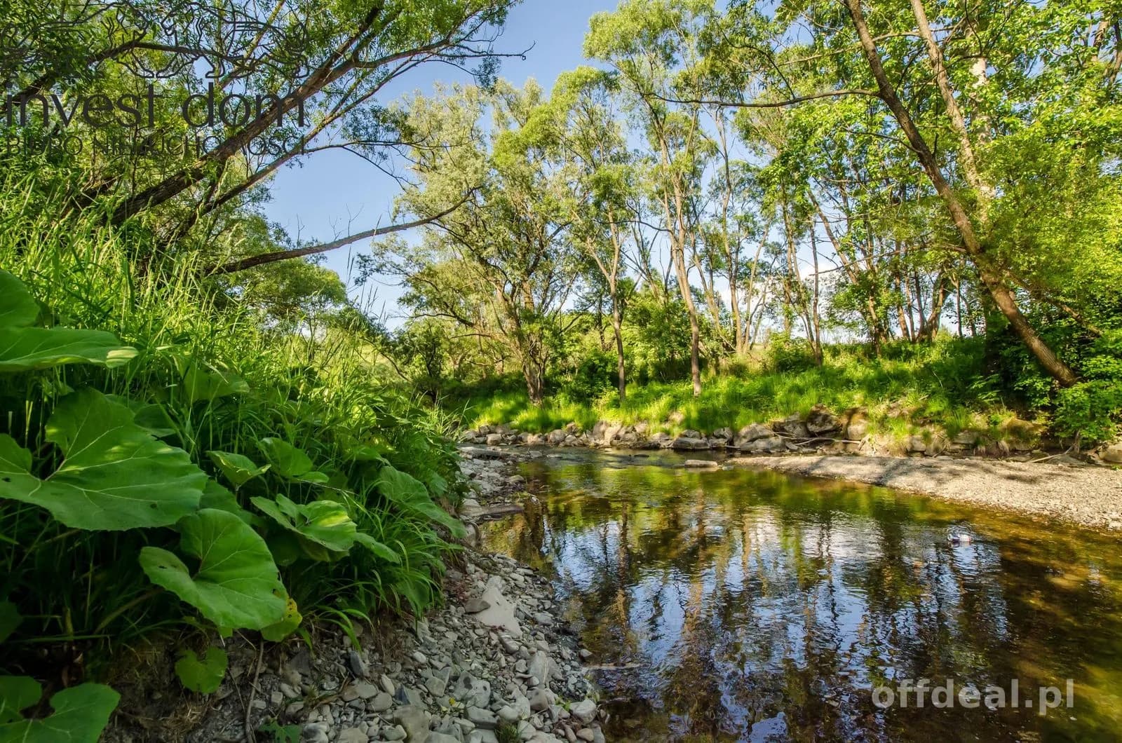ділянка на продаж у Uście Gorlickie | 19 700 m²