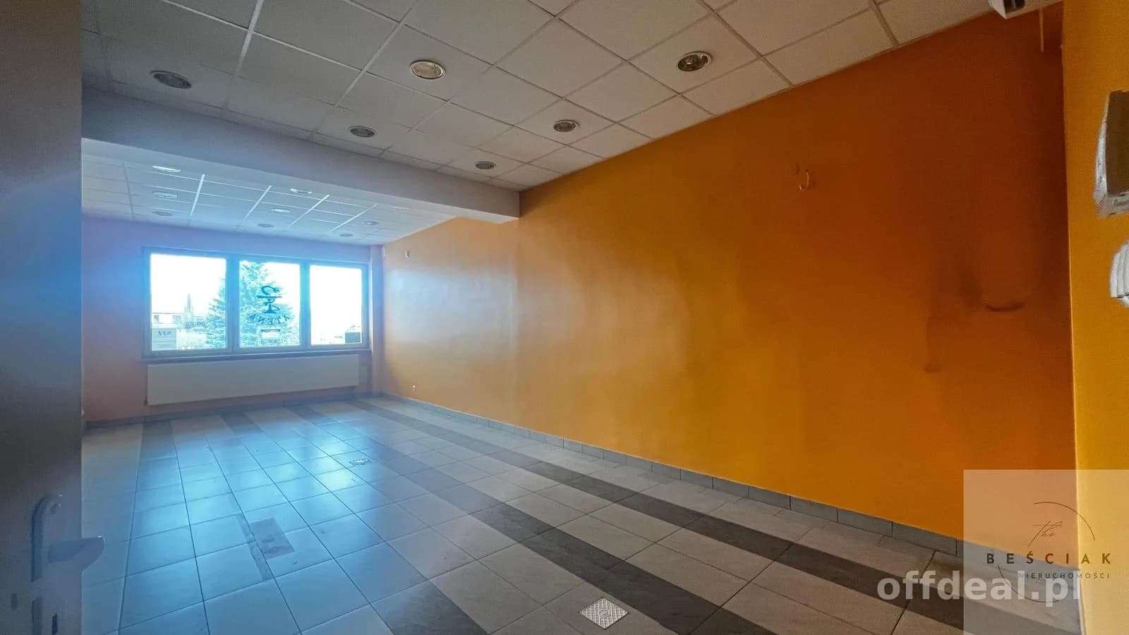 🏢 LOKALE HANDLOWO–USŁUGOWE DO WYNAJĘCIA