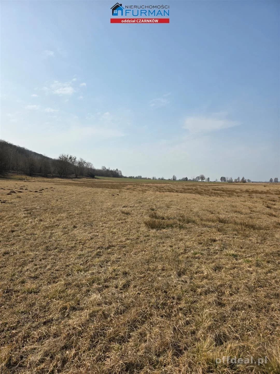 terrain à vendre à Czarnków | 277 265 m²